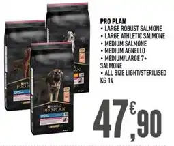 Ayoka Pro plan large robust salmone offerta