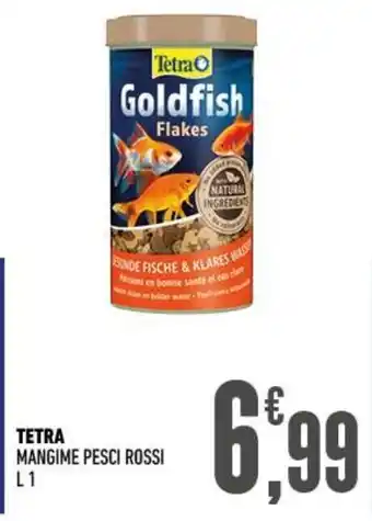 Ayoka Tetra mangime pesci rossi offerta