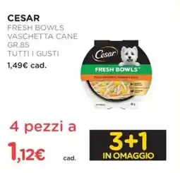 Arcaplanet Cesar fresh bowls vaschetta cane offerta