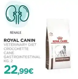 Arcaplanet Royal canin veterinary diet crocchette cane gastrointestinal offerta