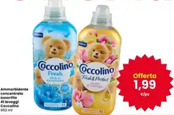 Interspar Ammorbidente concentrato assortito Coccolino offerta