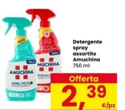 Interspar Detergente spray assortito Amuchina offerta