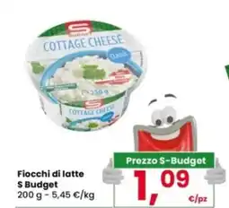Interspar Fiocchi di latte S Budget offerta