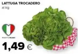 Tigre Lattuga trocadero offerta