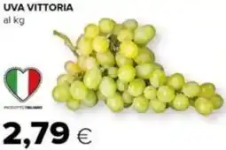 Tigre Uva vittoria offerta