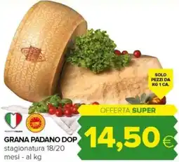 Tigre Grana padano dop offerta