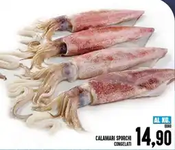 Iper Pellicano Calamari sporchi congelati offerta