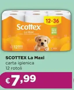 La Saponeria SCOTTEX La Maxi offerta
