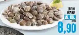Iper Pellicano Lupini grandi offerta
