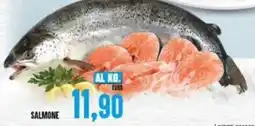 Iper Pellicano Salmone offerta