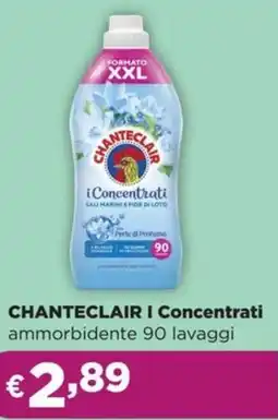 La Saponeria CHANTECLAIR I Concentrati offerta