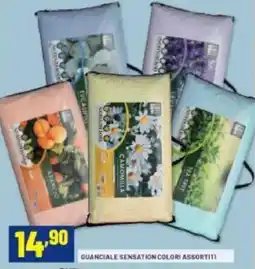 Risparmio Casa Quanciale sensation colori assortiti offerta