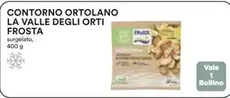Coop Contorno ortolano la valle degli orti FROSTA offerta