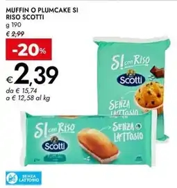 Bennet Muffin o plumcake si riso SCOTTI offerta