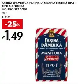 Bennet Farina d'america farina di grano tenero tipo 1 tipo manitoba MOLINO SPADONI offerta