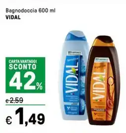 Iper La Grande Bagnodoccia VIDAL offerta