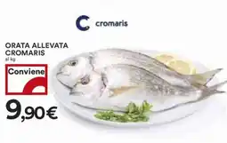 Coop Superstore Orata allevata CROMARIS offerta
