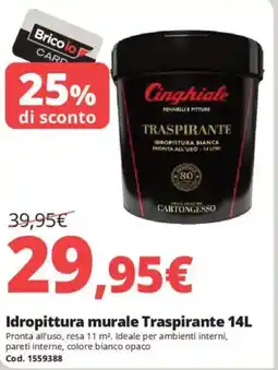 Brico Io Cinghiale Idropittura murale Traspirante offerta