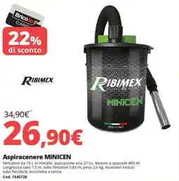 Brico Io RIBIMEX Aspiracenere MINICEN offerta