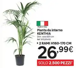Leroy Merlin Pianta da interno KENTHIA offerta