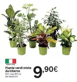 Leroy Merlin Piante verdi miste da interno offerta