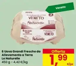 Eurospar 6 Uova Grandi Fresche da Allevamento a Terra Le Naturelle offerta