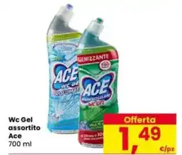 Eurospar Wc Gel assortito Ace offerta