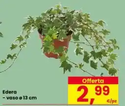 Eurospar Edera offerta