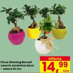 Eurospar Ficus Ginseng Bonsai vaso in ceramica deco offerta