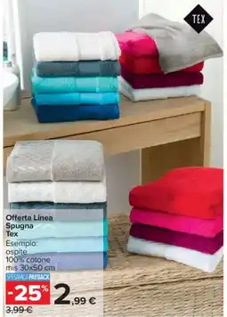 Carrefour Offerta Linea Spugna Tex offerta
