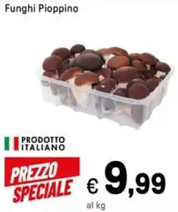 Iper La Grande Funghi Pioppino offerta