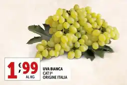 Gourmet Déco Uva bianca offerta