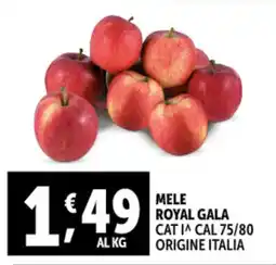 Gourmet Déco Mele royal gala offerta