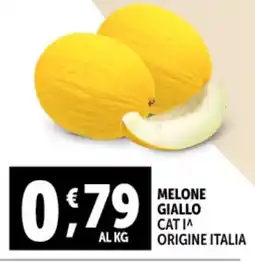 Gourmet Déco Melone giallo offerta