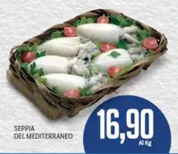 Supermercati Piccolo Seppia del mediterraneo offerta
