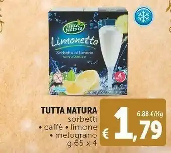 Limonetto sorbetto al limone 260 g(ml)