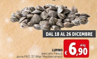 Deco Supermercati Lupino pescato fresco offerta