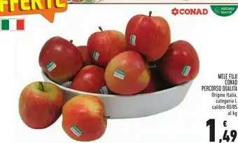 Conad Conad mele fuji offerta