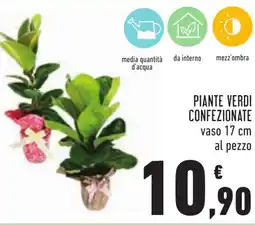 Conad Piante verdi confezionate offerta