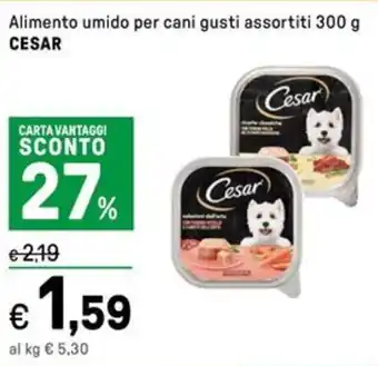 Iper La Grande Alimento umido per cani gusti assortiti CESAR offerta