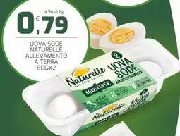 Interspar Uova sode naturelle allevamento a terra offerta
