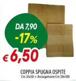 Galassia Coppia spugna ospite offerta