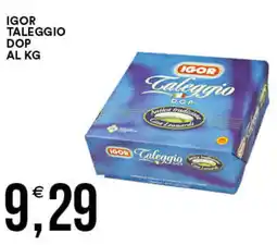Vantaggio Cash&Carry Igor taleggio dop al kg offerta