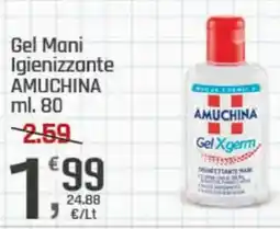 Supermercati Dok Gel Mani Igienizzante AMUCHINA offerta