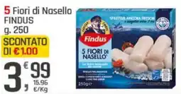 Supermercati Dok 5 Fiori di Nasello FINDUS offerta