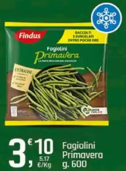 Supermercati Dok Fagiolini Primavera Findus offerta