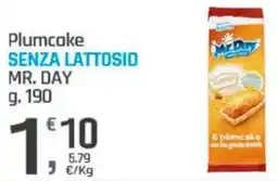 Supermercati Dok Plumcake senza lattosio MR. DAY offerta
