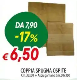 IperFamila Coppia spugna ospite offerta