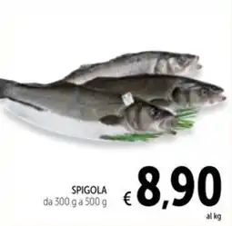 Spazio Conad Spigola offerta