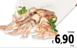 Spazio Conad Totani offerta
